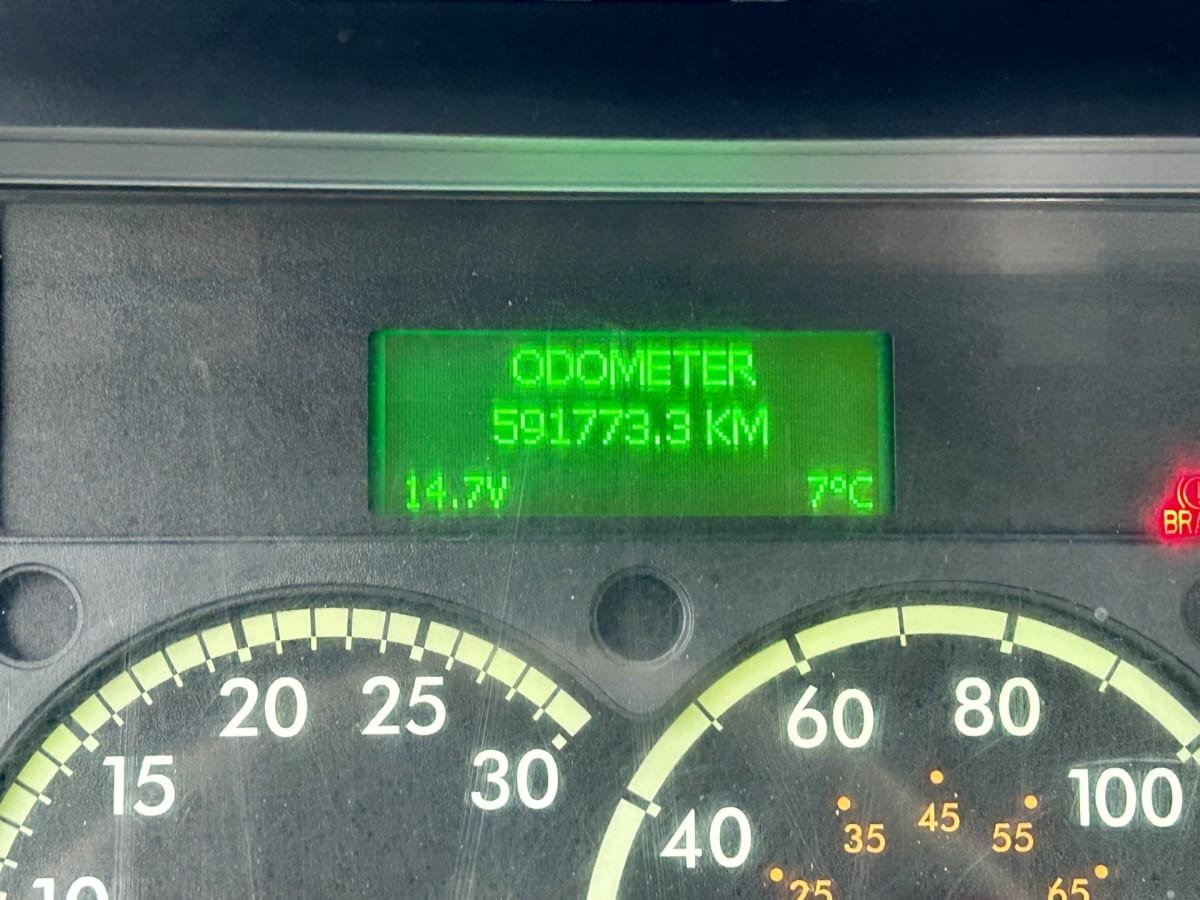 2019 Freightliner/Mercedes CASCADIA 125 803505