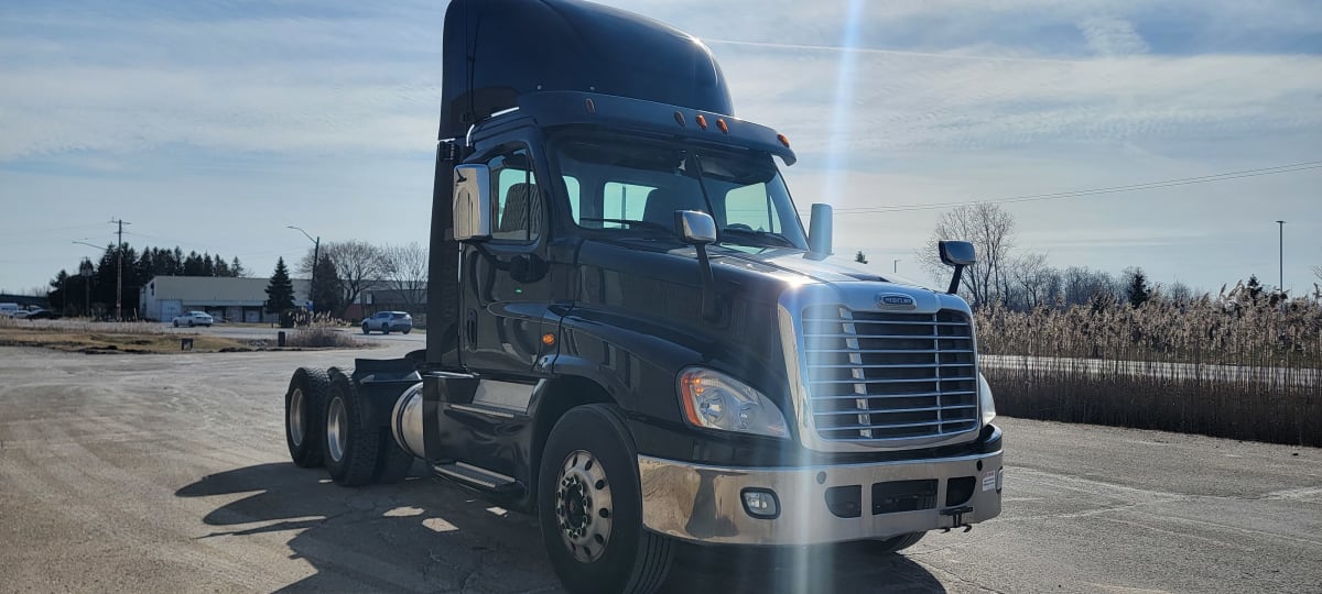 2019 Freightliner/Mercedes CASCADIA 125 803643