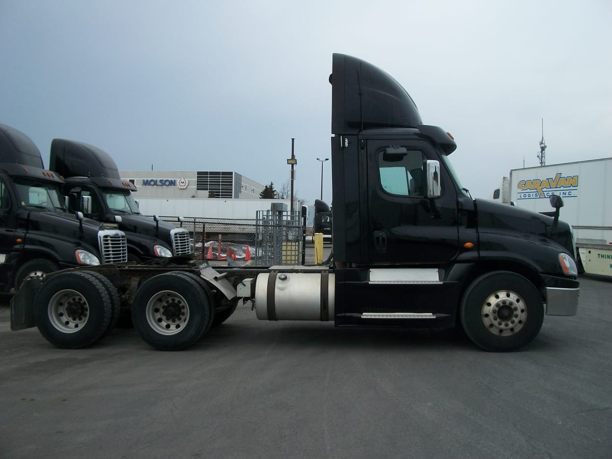 2019 Freightliner/Mercedes CASCADIA 125 803656