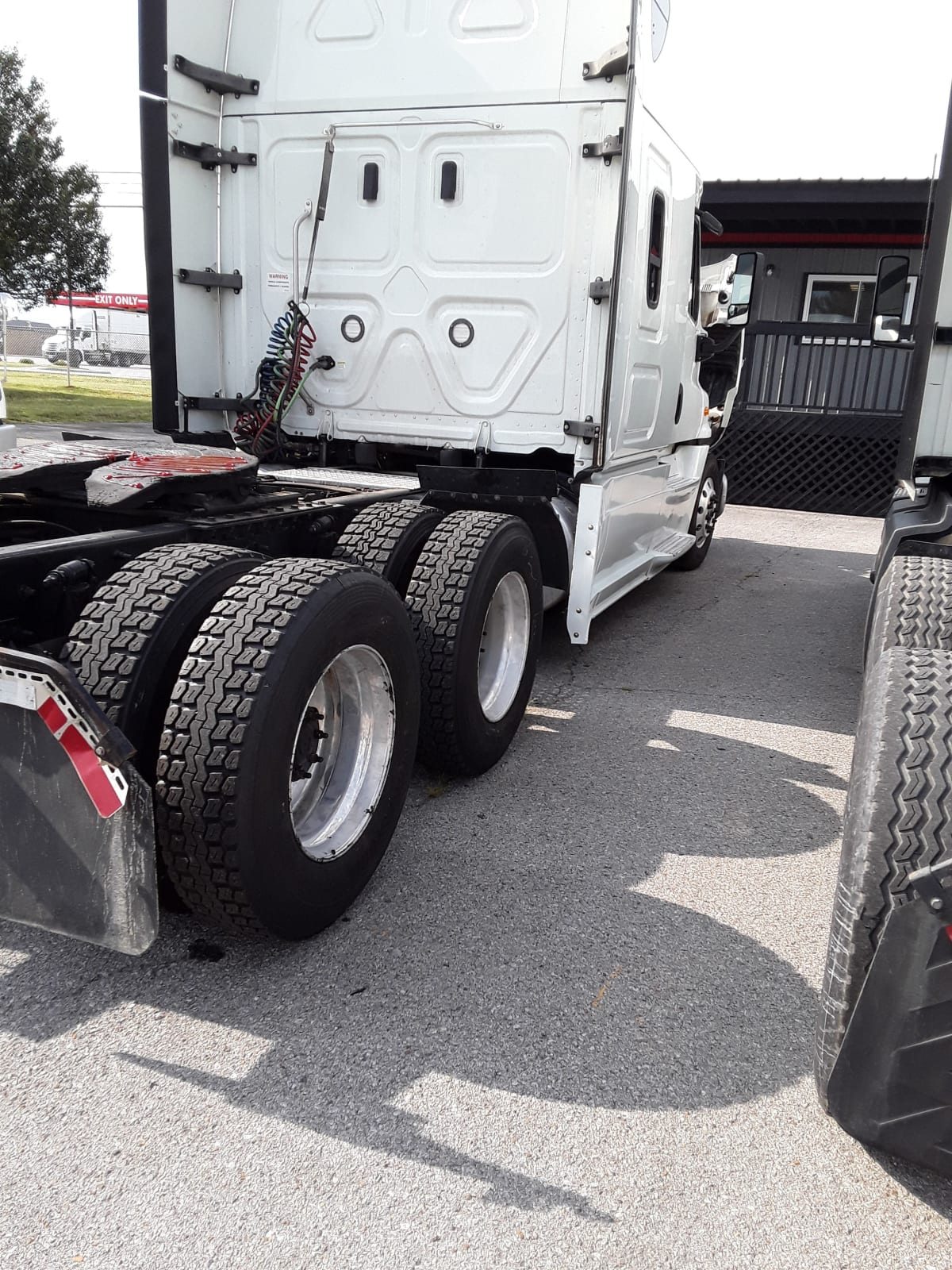 2019 Freightliner/Mercedes CASCADIA 125 803775
