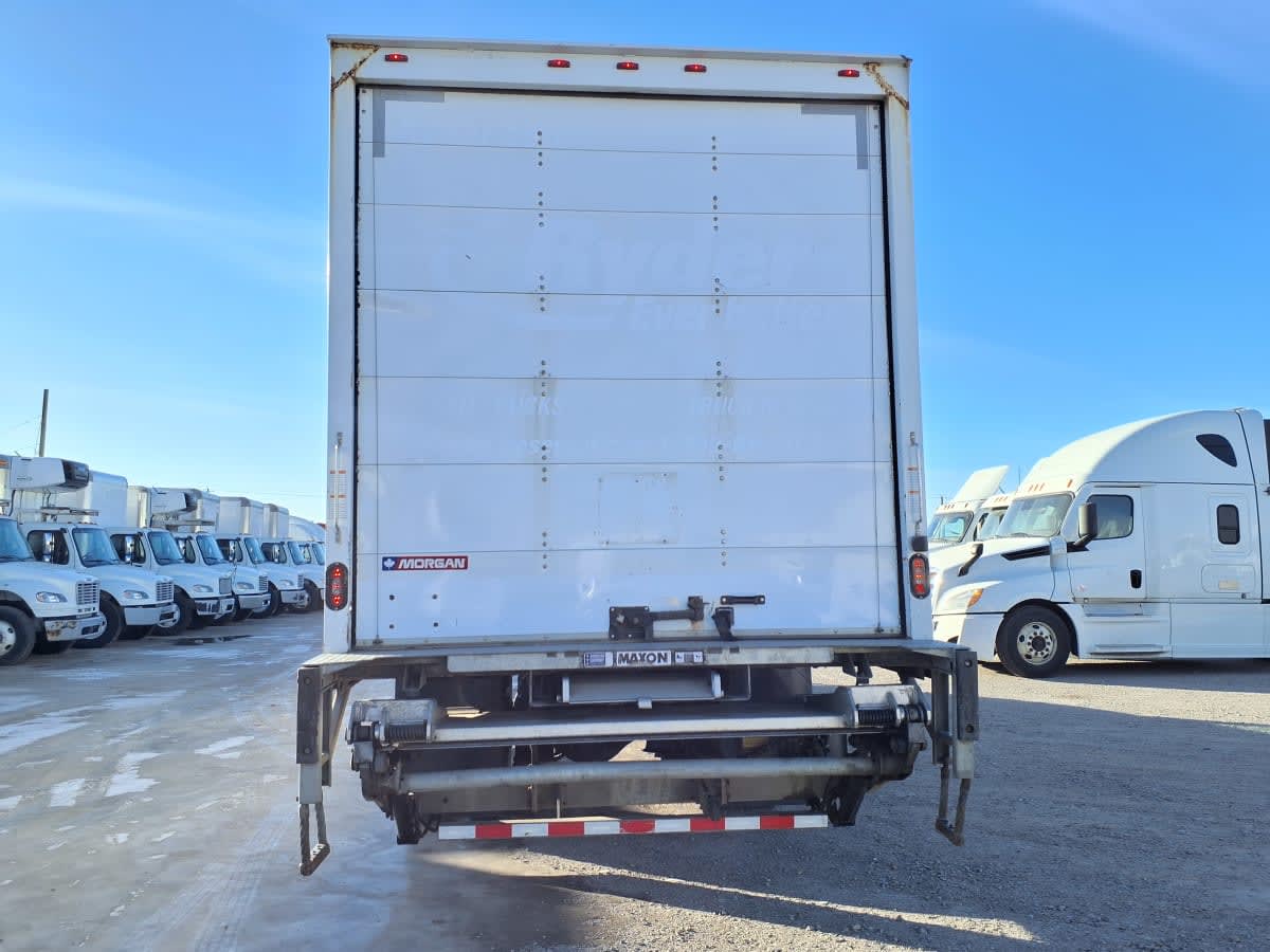 2019 Freightliner/Mercedes M2 106 803843