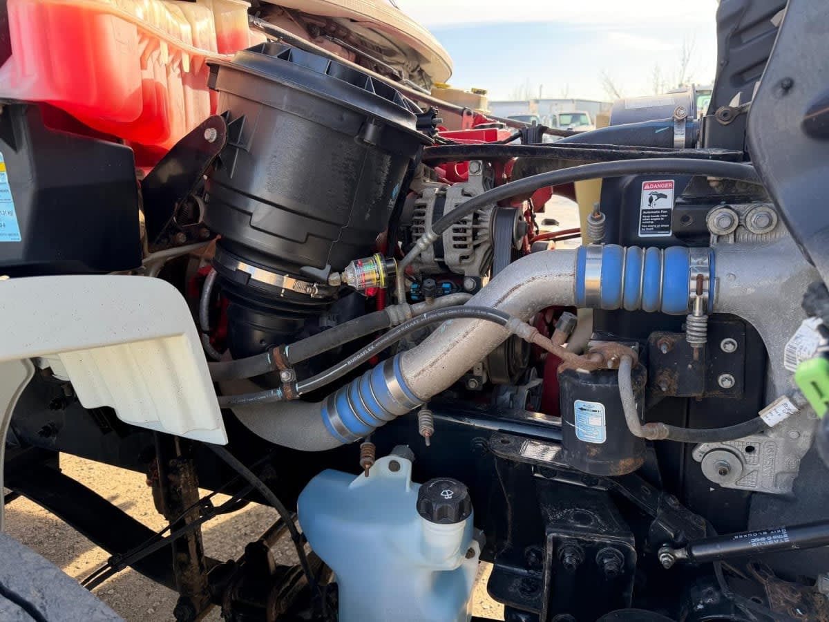 2019 Freightliner/Mercedes M2 106 803844