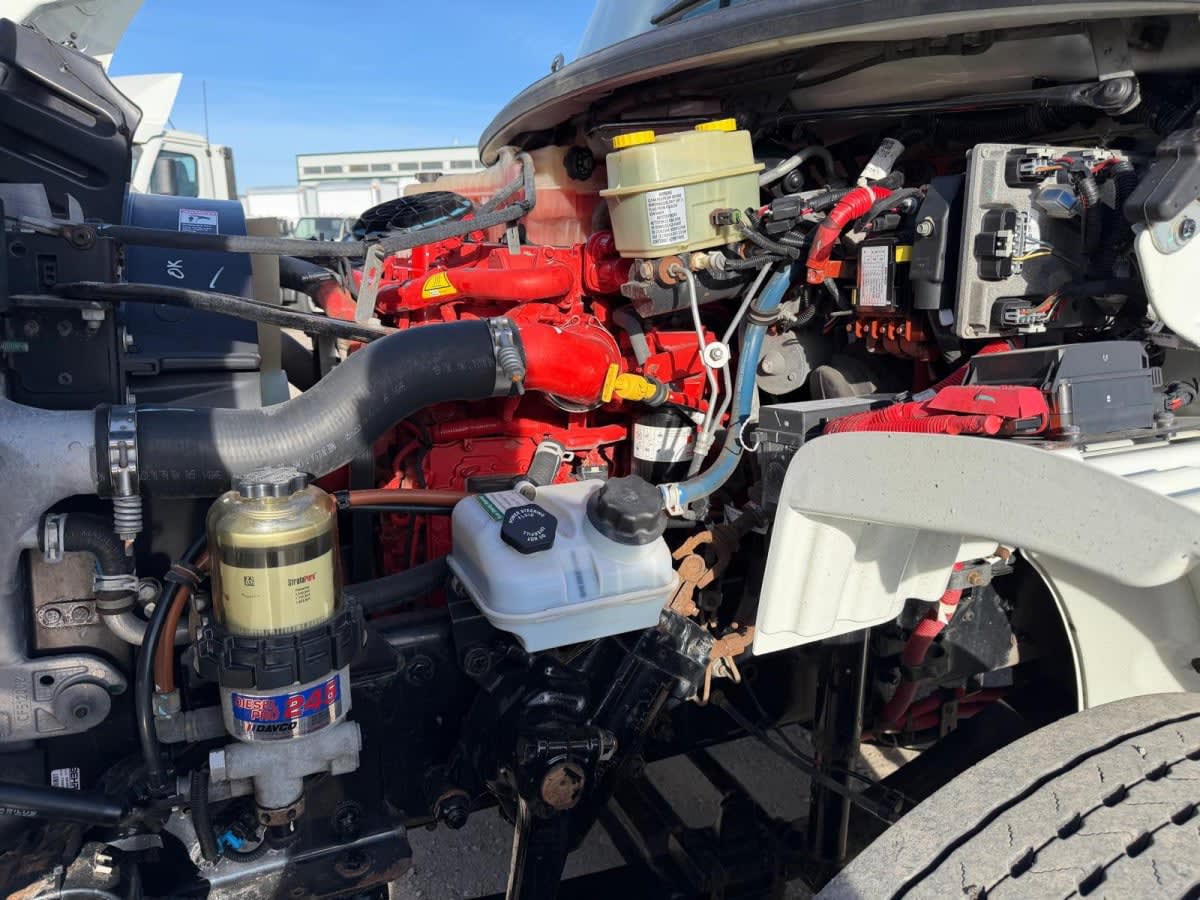 2019 Freightliner/Mercedes M2 106 803844