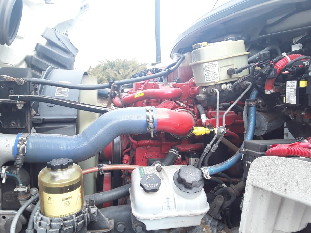 2019 Freightliner/Mercedes M2 106 803847