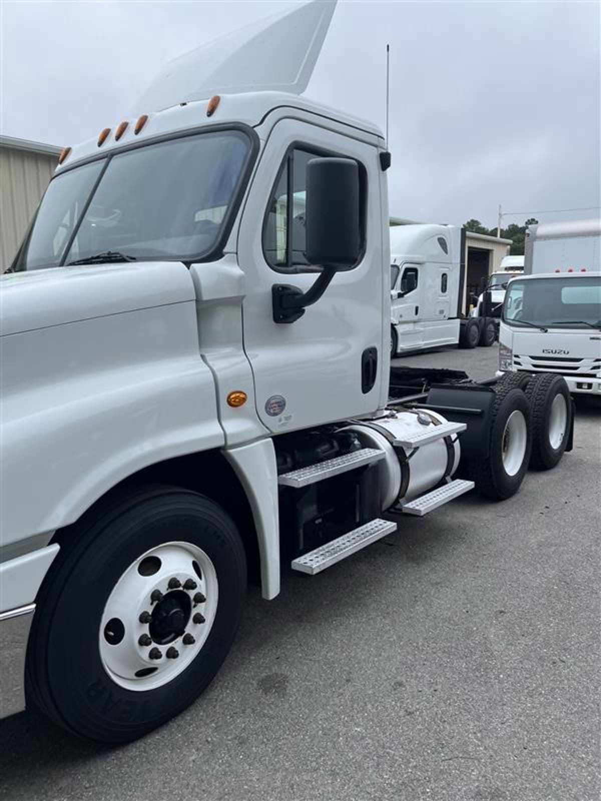 2019 Freightliner/Mercedes CASCADIA 125 804254