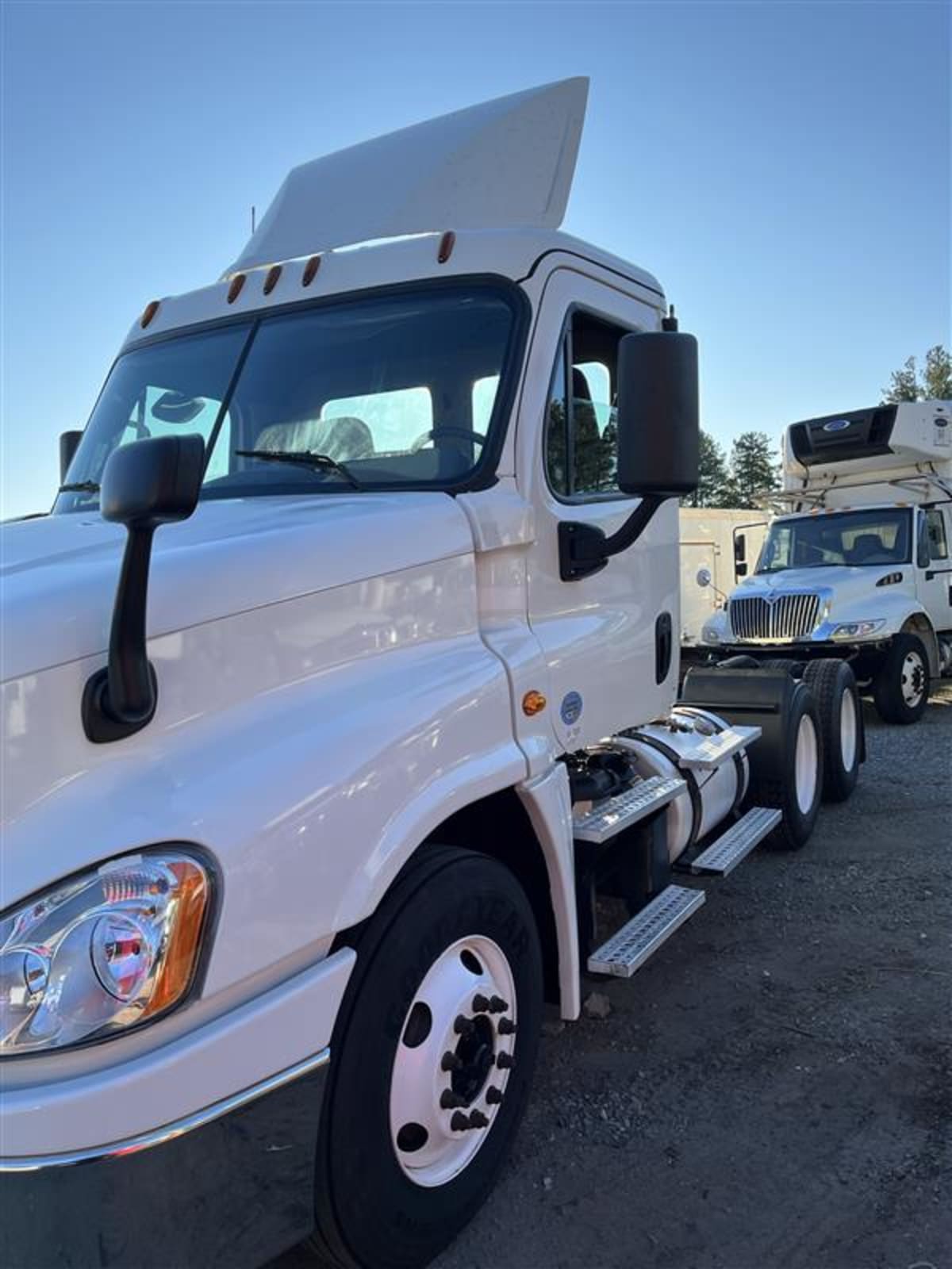 2019 Freightliner/Mercedes CASCADIA 125 804256
