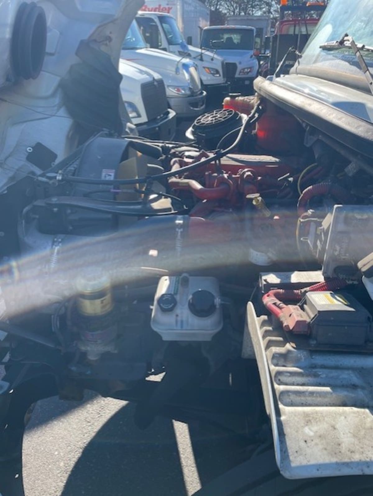 2019 Freightliner/Mercedes M2 106 804409