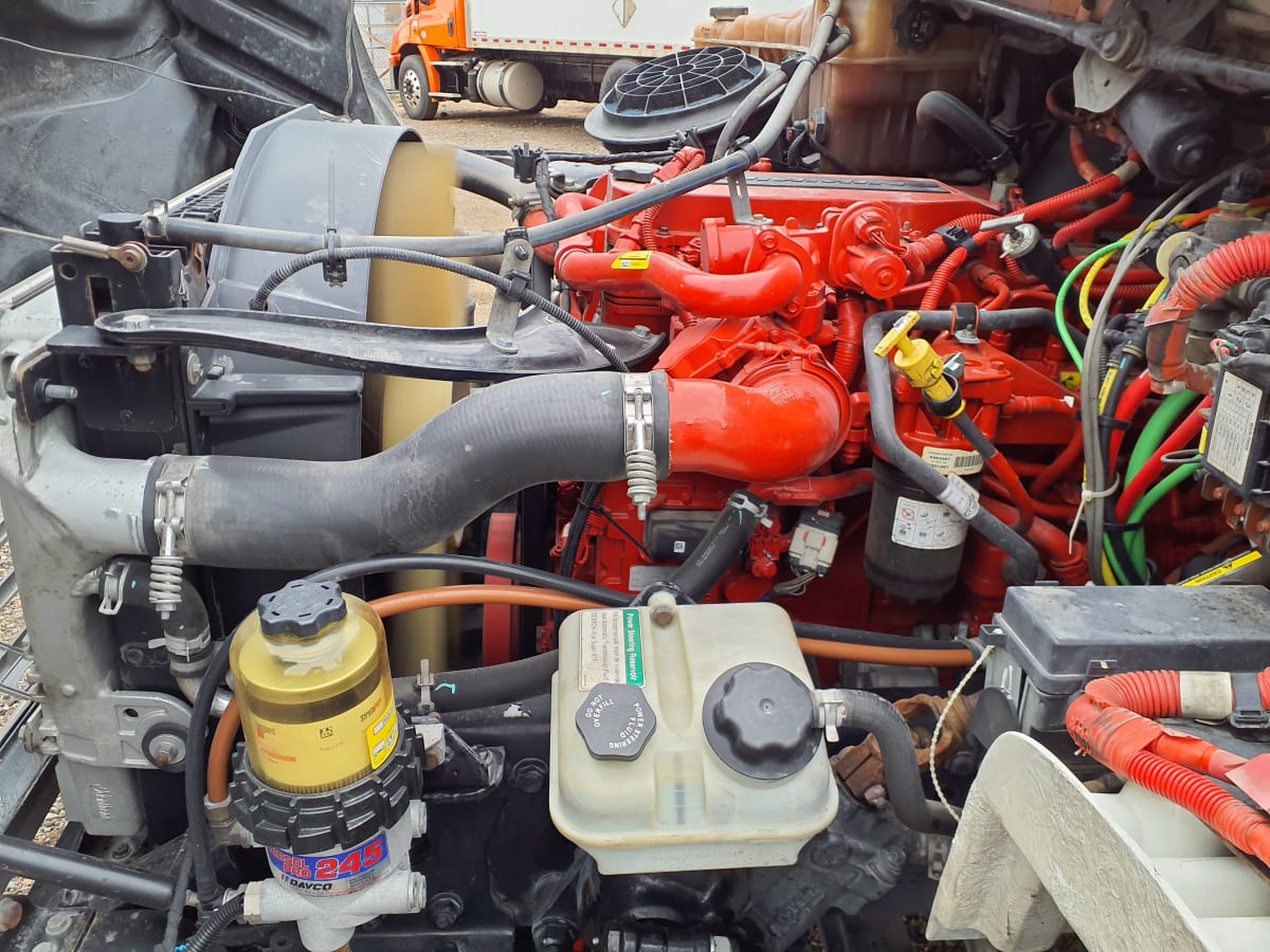 2019 Freightliner/Mercedes M2 106 804480