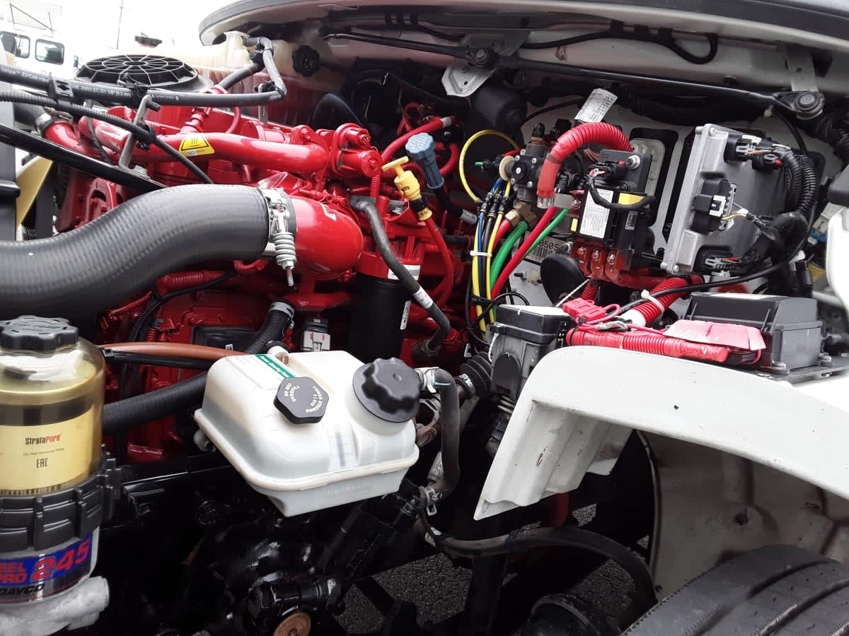 2019 Freightliner/Mercedes M2 106 804516