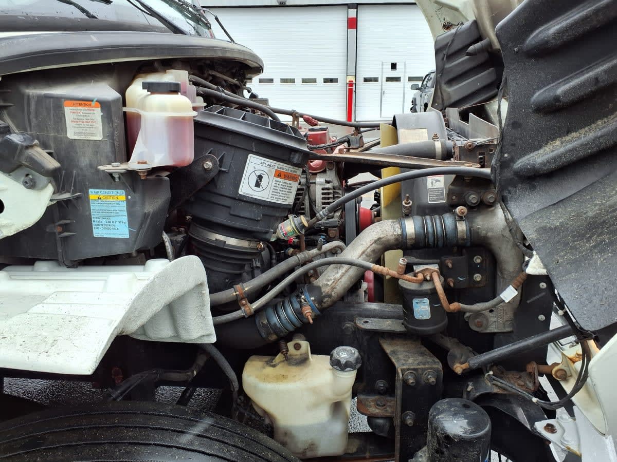 2019 Freightliner/Mercedes M2 106 805889