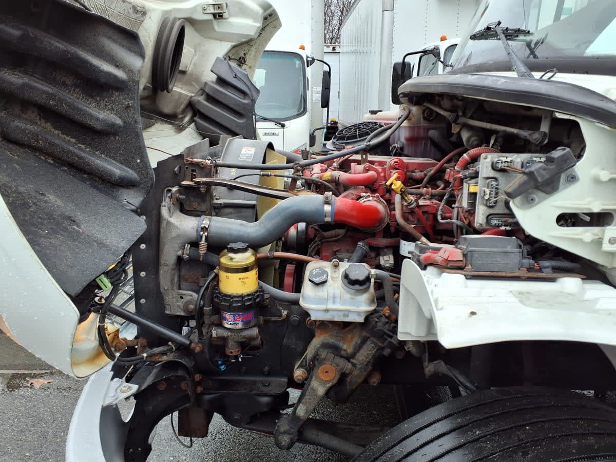 2019 Freightliner/Mercedes M2 106 805889