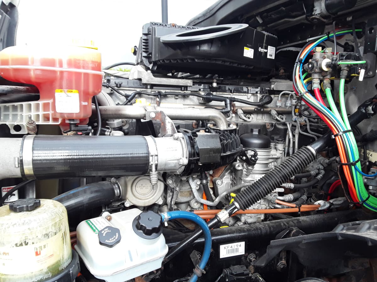 2019 Freightliner/Mercedes NEW CASCADIA PX12664 805962