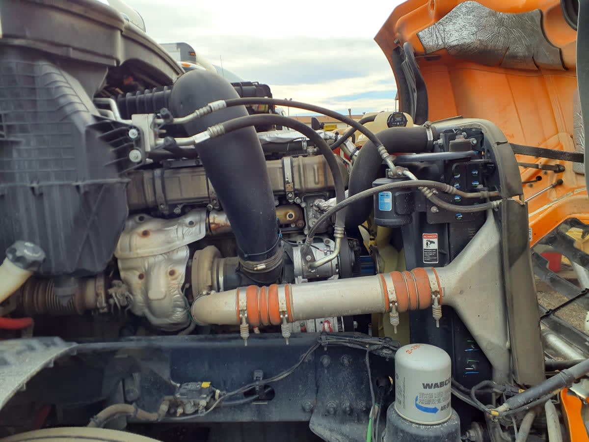 2019 Freightliner - image 10