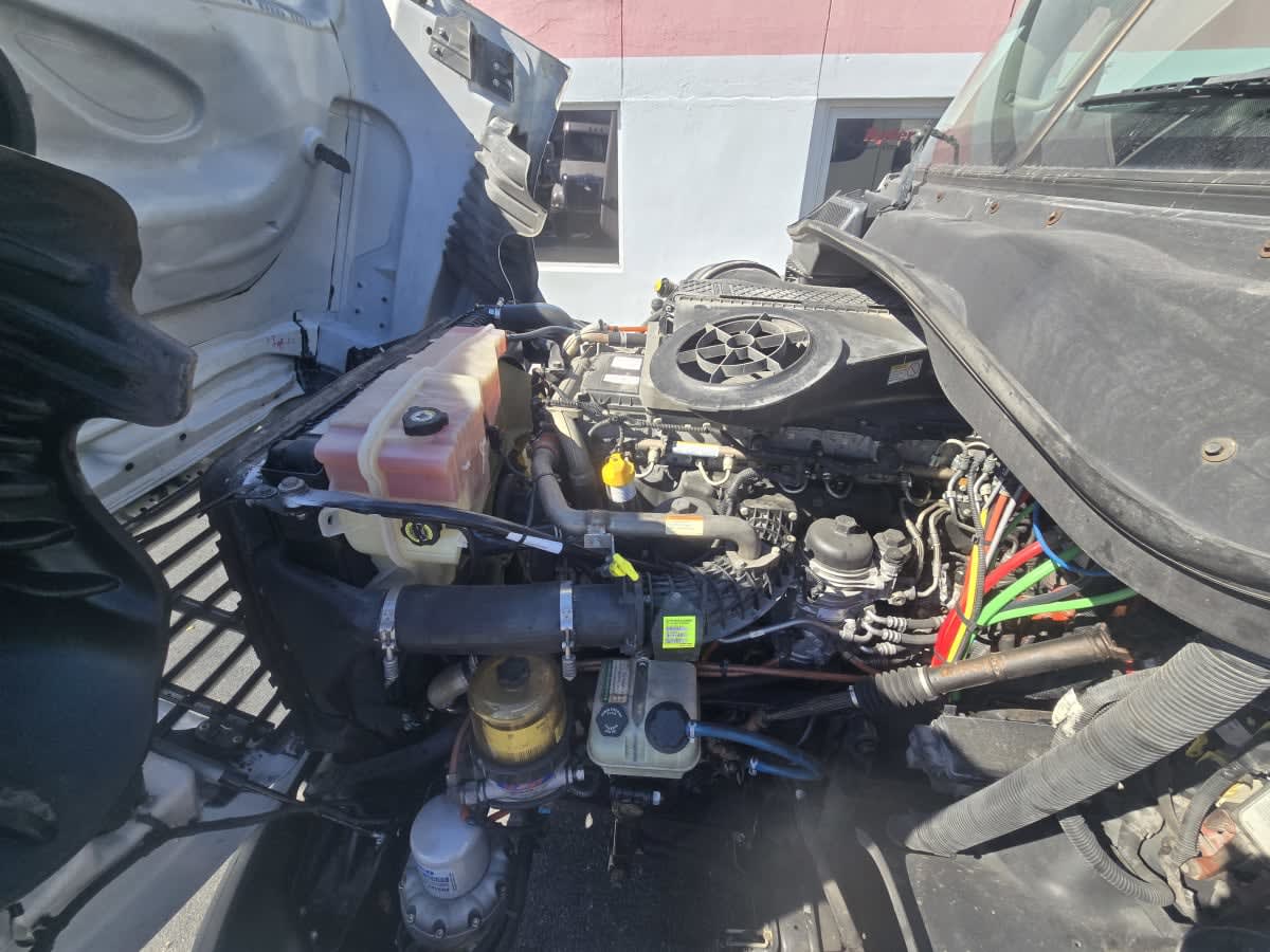 2019 Freightliner - image 8