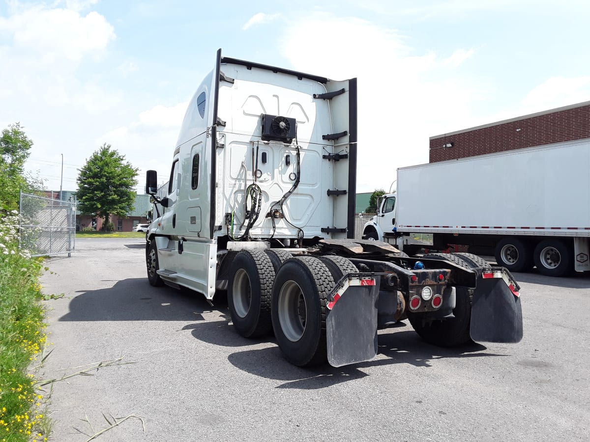 2019 Freightliner/Mercedes CASCADIA 125 807302