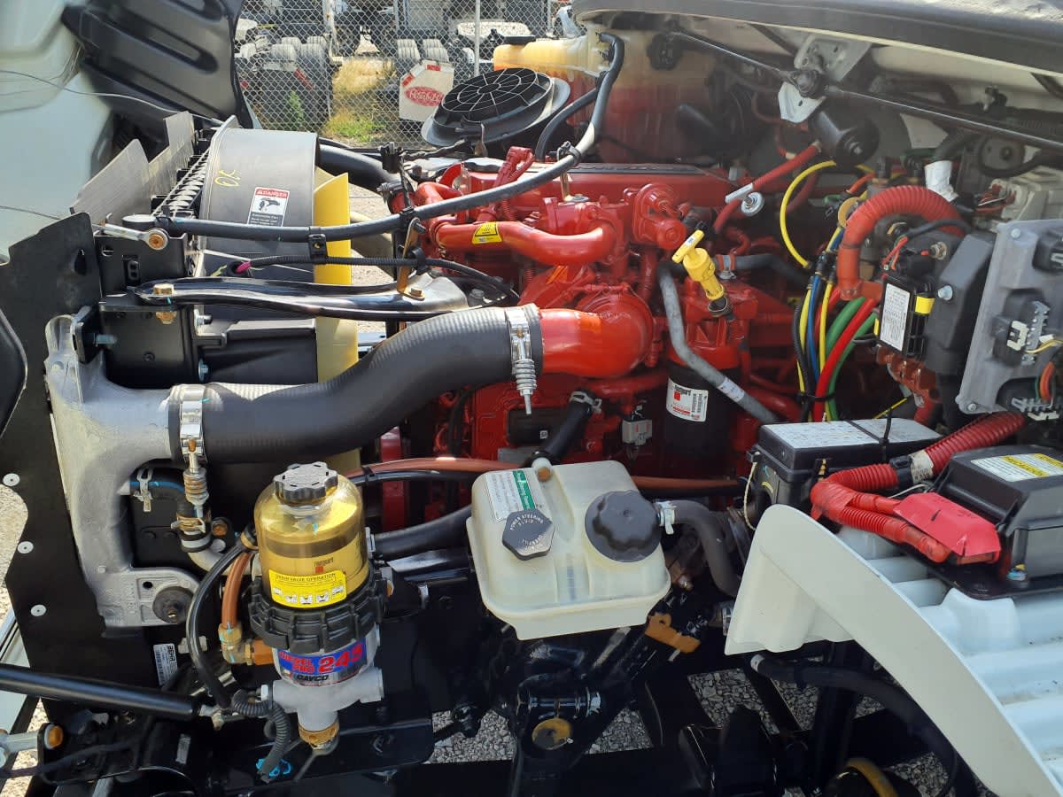 2019 Freightliner/Mercedes M2 106 807412