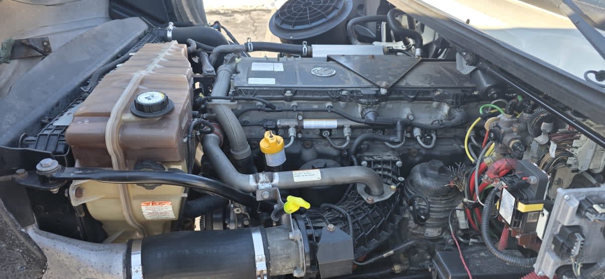 2019 Freightliner/Mercedes M2 112 807474