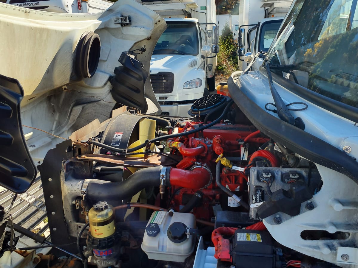 2019 Freightliner/Mercedes M2 106 807489