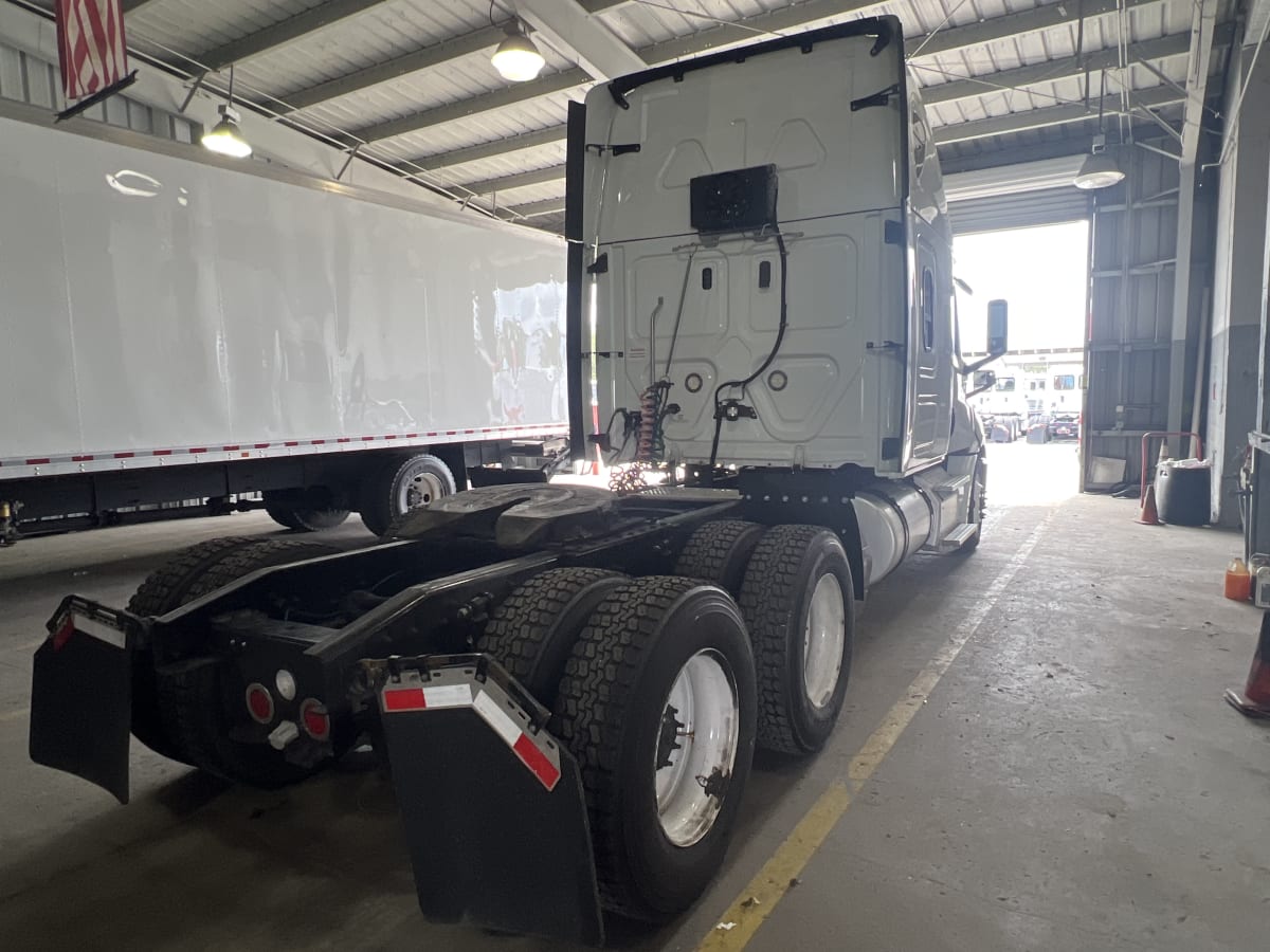 2019 Freightliner/Mercedes NEW CASCADIA PX12664 807530