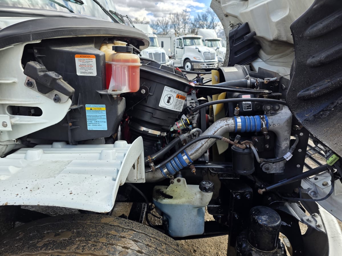 2019 Freightliner/Mercedes M2 106 807592