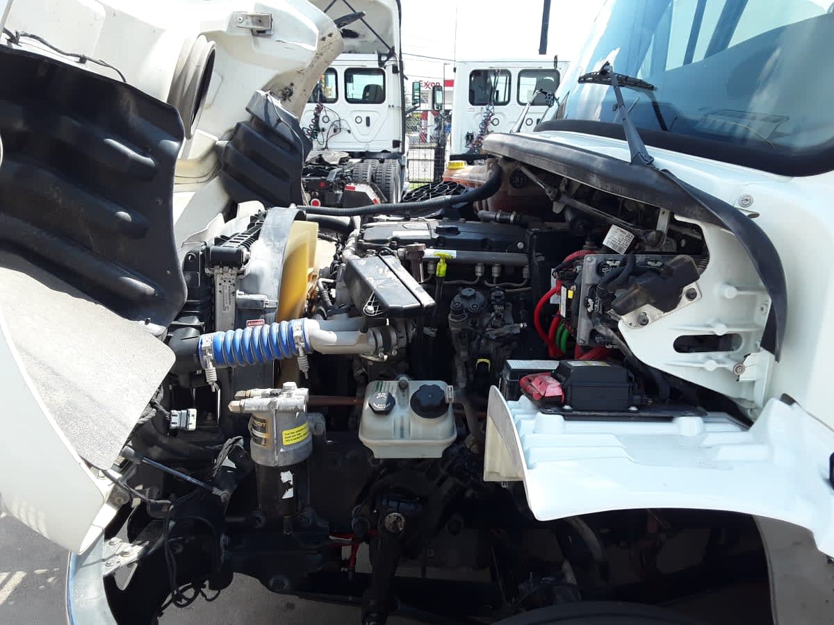 2019 Freightliner/Mercedes M2 106 807627