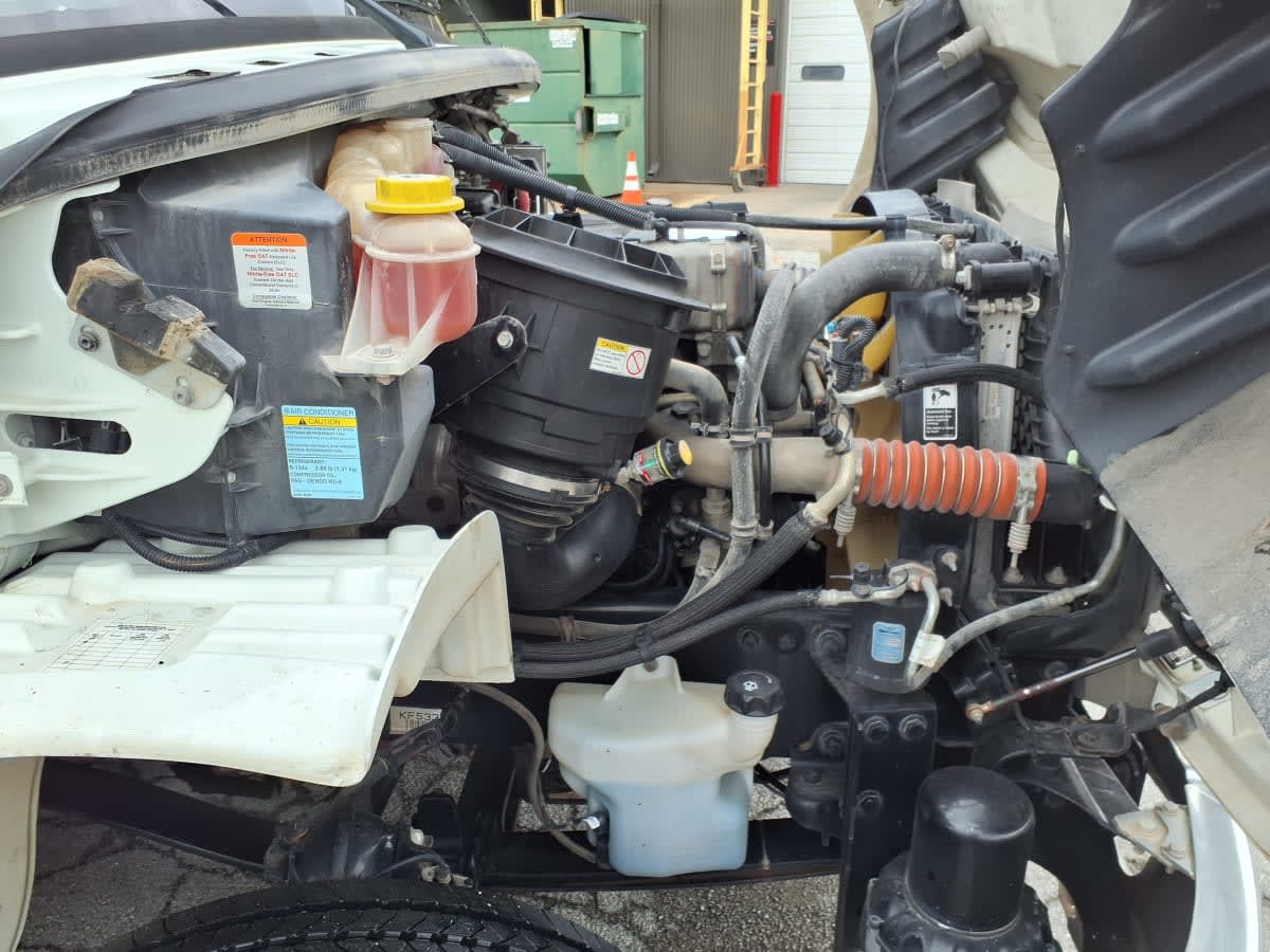 2019 Freightliner/Mercedes M2 106 807628