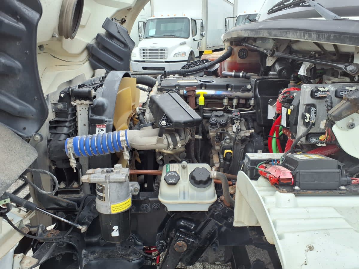 2019 Freightliner/Mercedes M2 106 807628