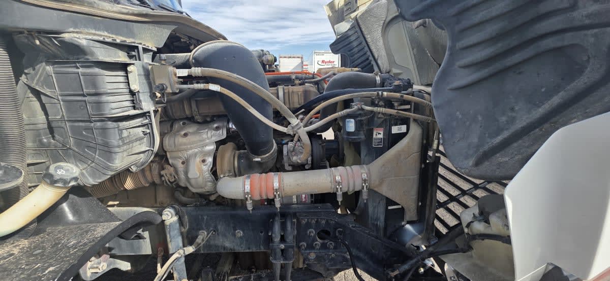 2019 Freightliner - image 8