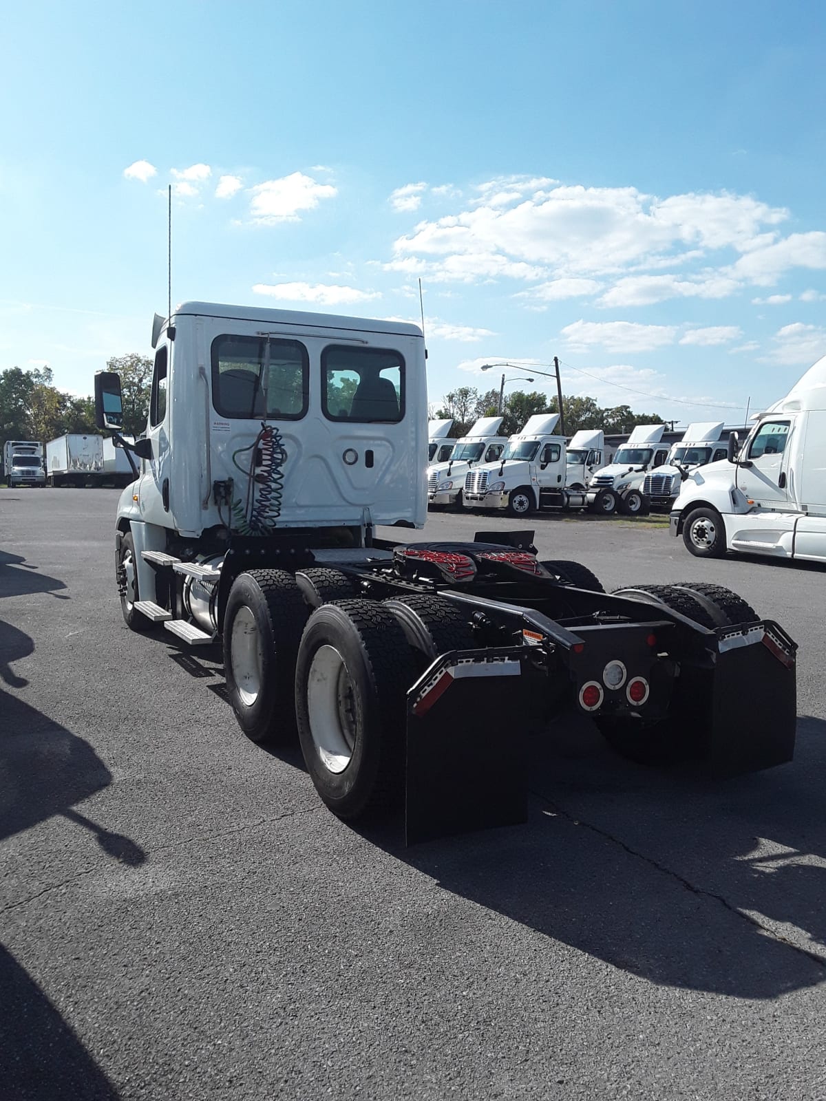 2019 Freightliner/Mercedes CASCADIA 125 807713