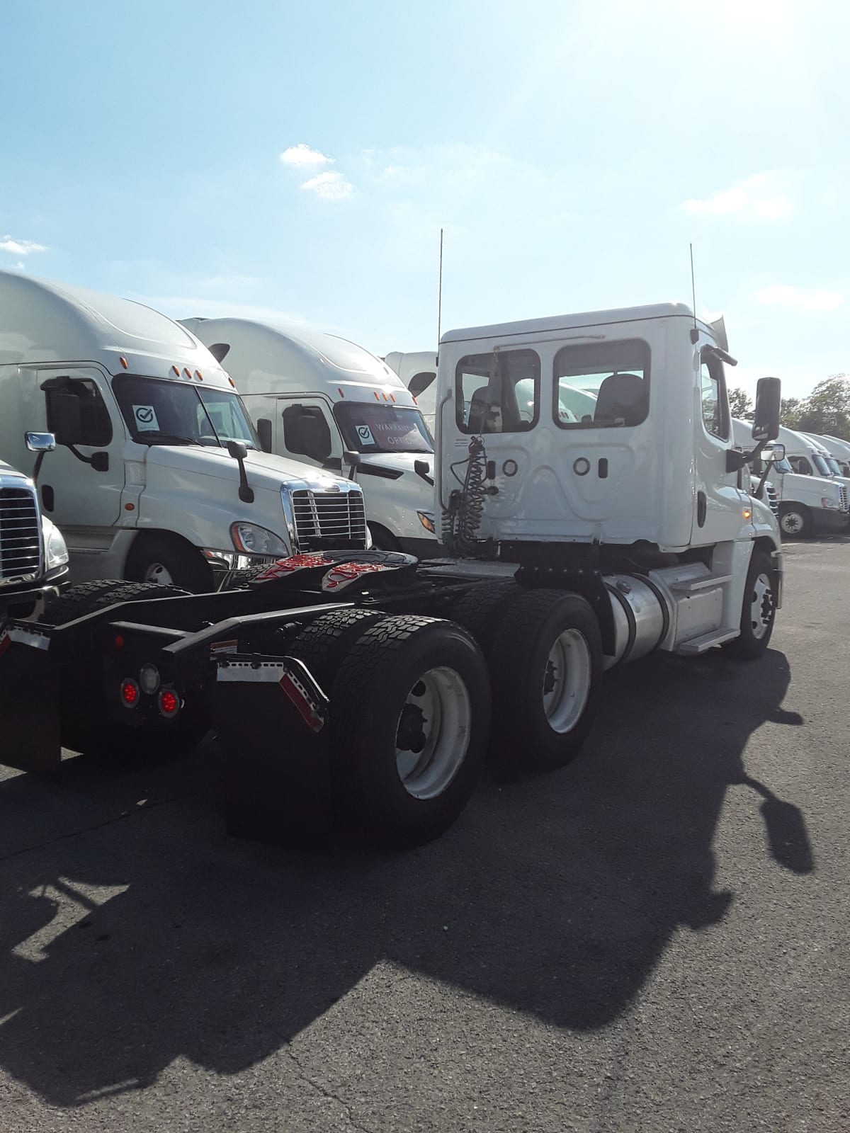 2019 Freightliner/Mercedes CASCADIA 125 807713