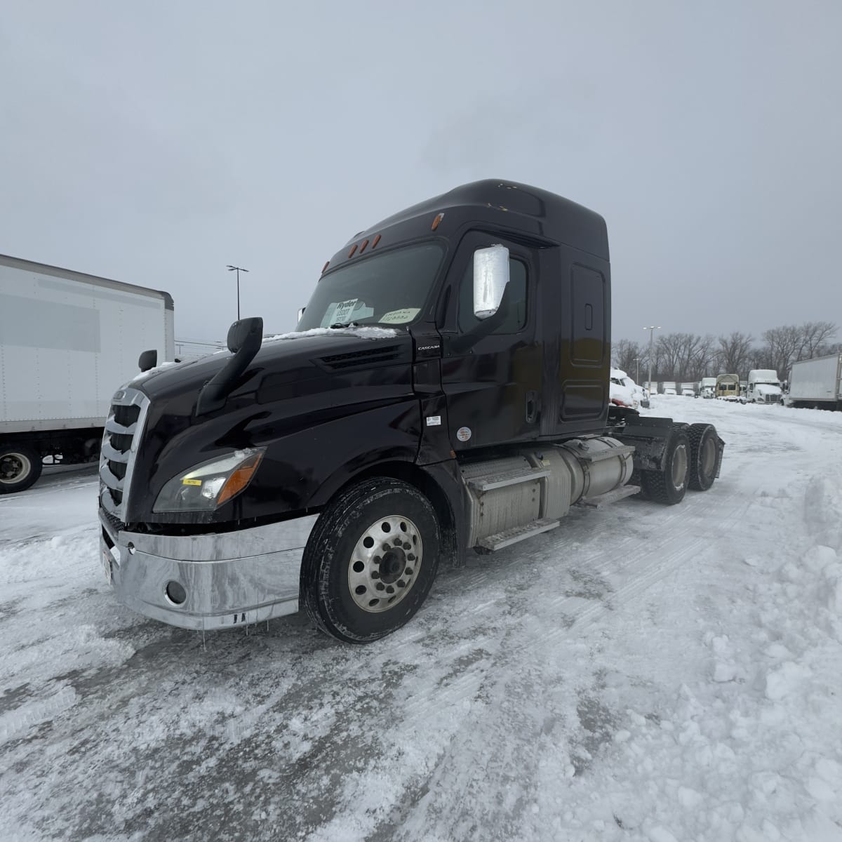 2019 Freightliner - image 2