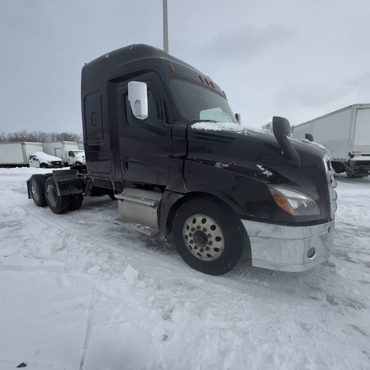 2019 Freightliner - image 1