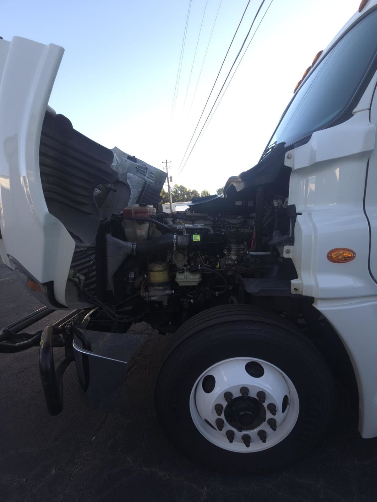 2019 Freightliner/Mercedes CASCADIA 125 807758