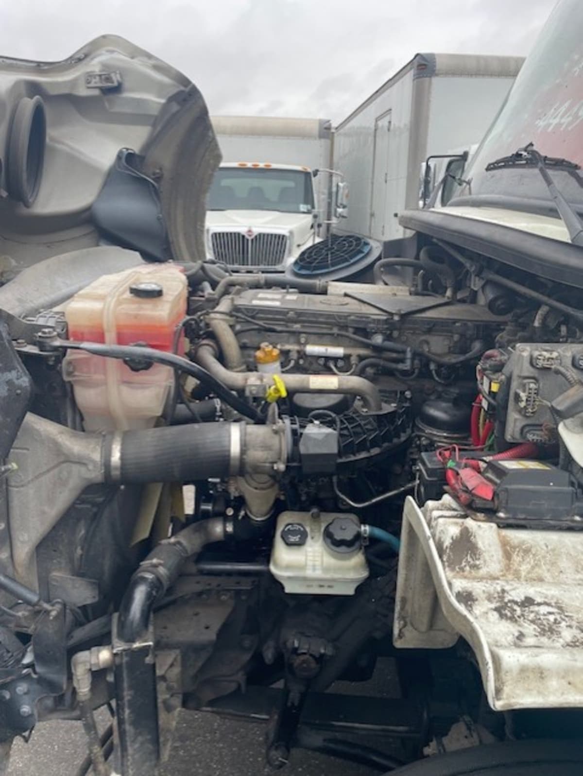 2019 Freightliner/Mercedes M2 112 807897