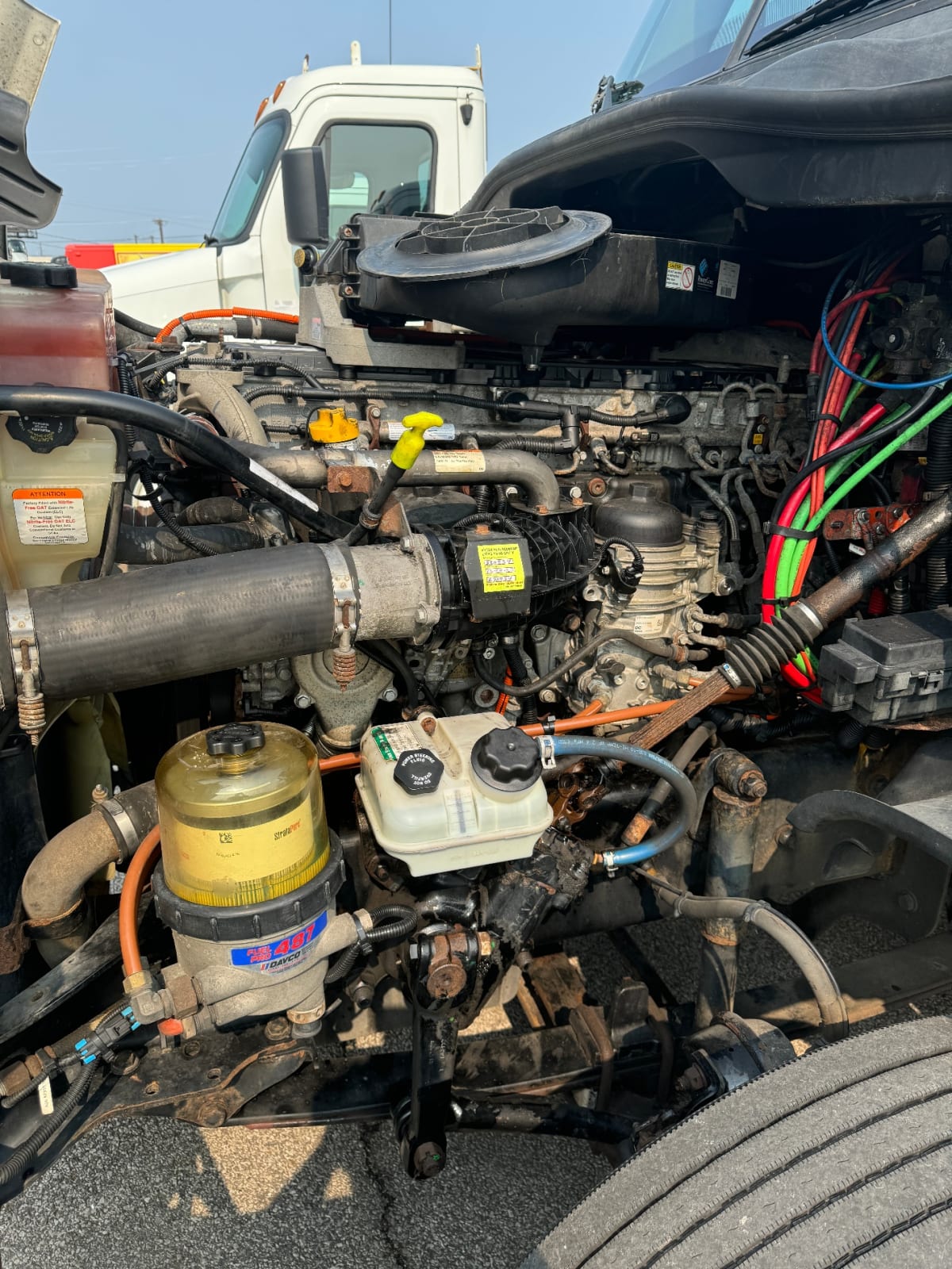 2019 Freightliner/Mercedes CASCADIA 125 807952