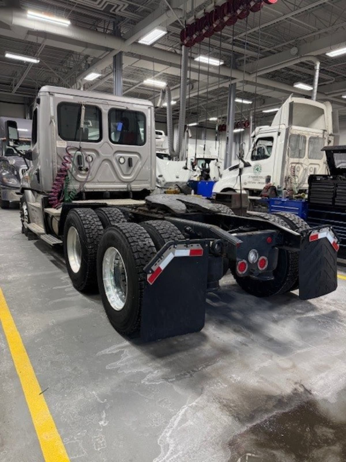 2019 Freightliner/Mercedes CASCADIA 125 808132