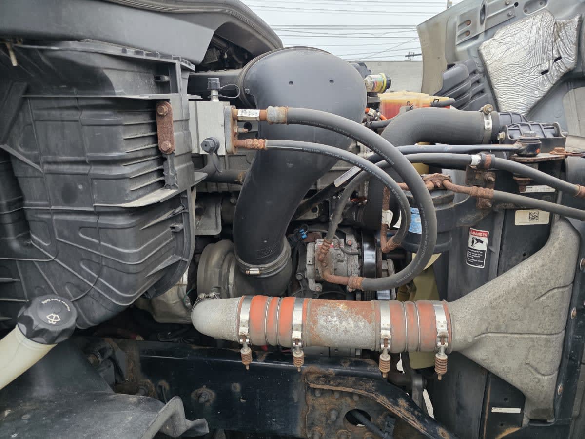 2019 Freightliner - image 9