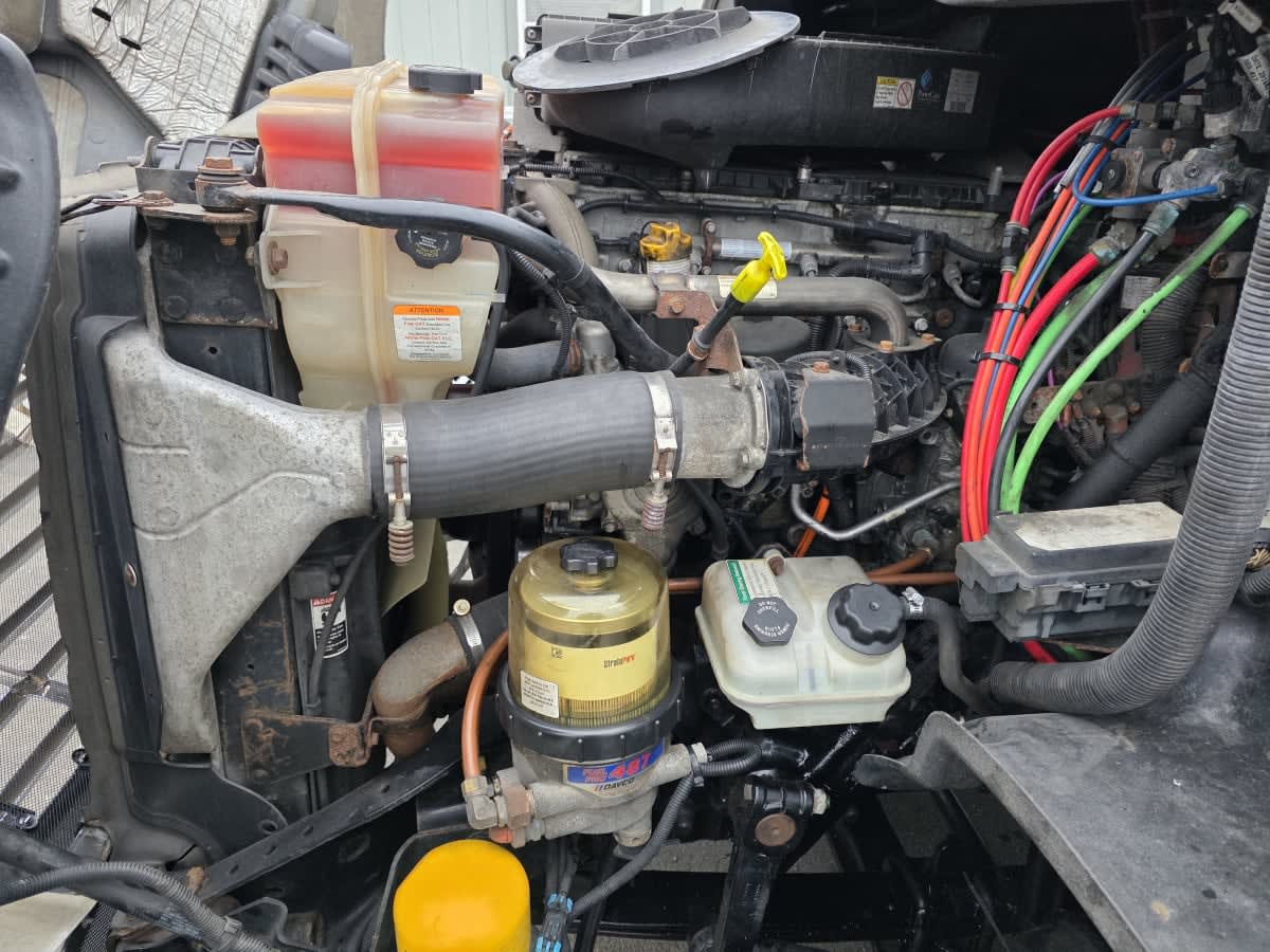 2019 Freightliner - image 8