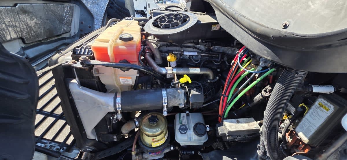 2019 Freightliner/Mercedes CASCADIA 113 808155