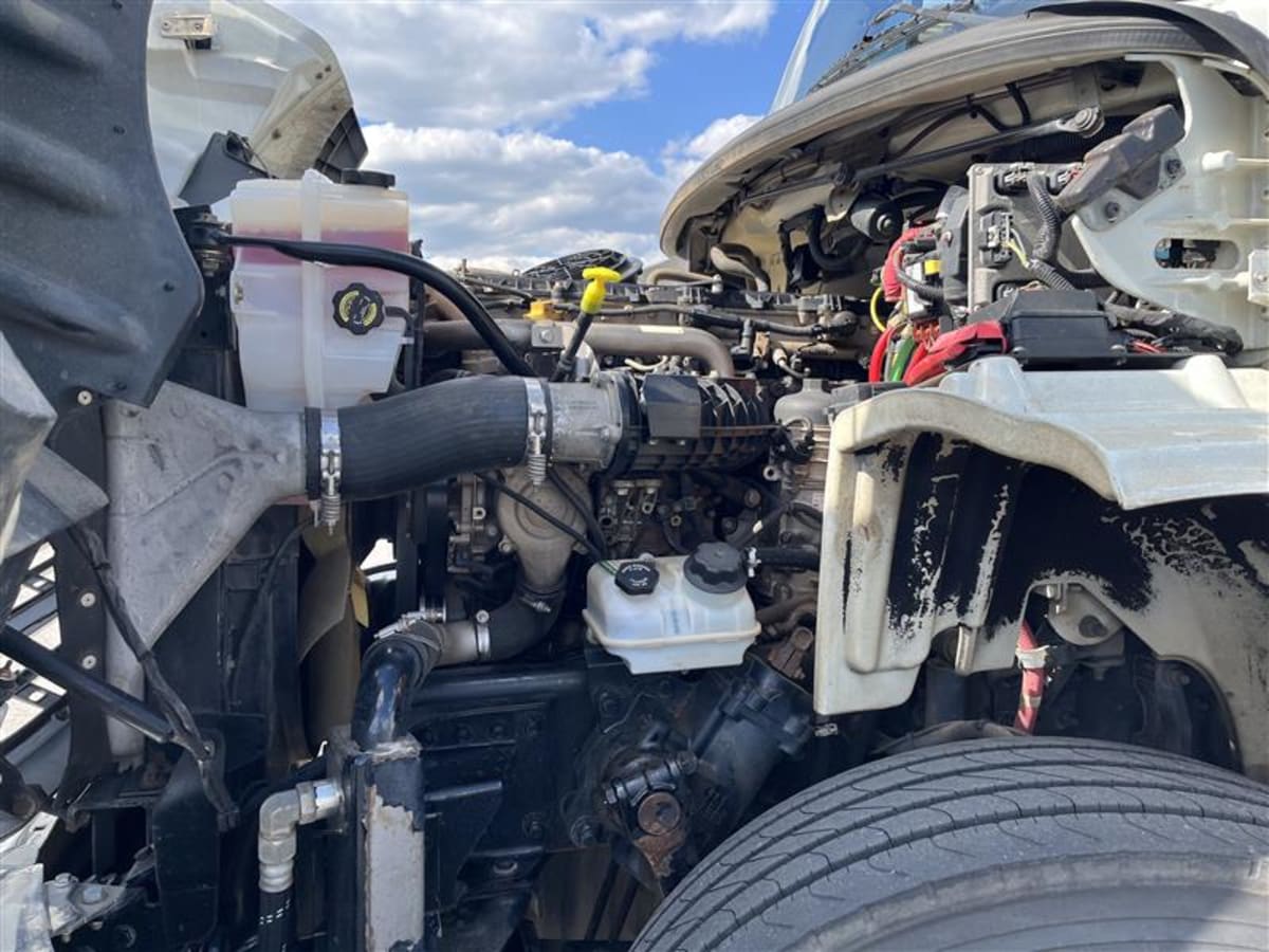 2019 Freightliner/Mercedes M2 112 808209