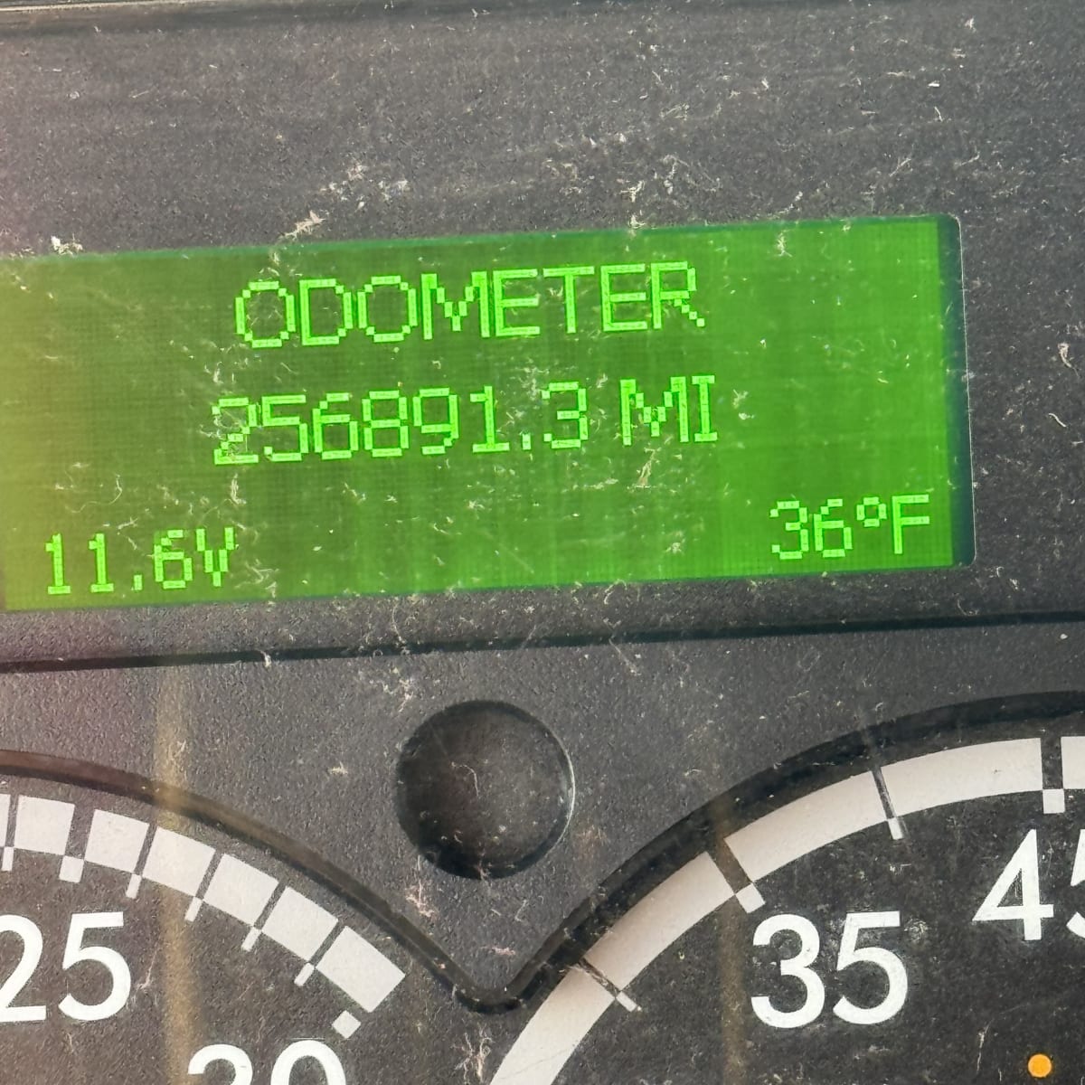 2019 Freightliner/Mercedes M2 106 808211