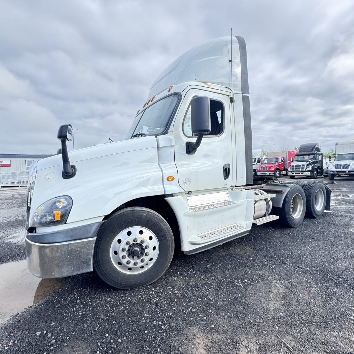 2019 Freightliner/Mercedes CASCADIA 125 808245