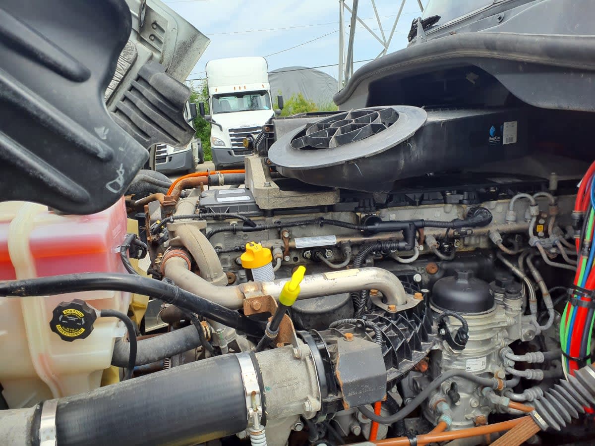2019 Freightliner Cascadia in Indianapolis, IN — photo 8