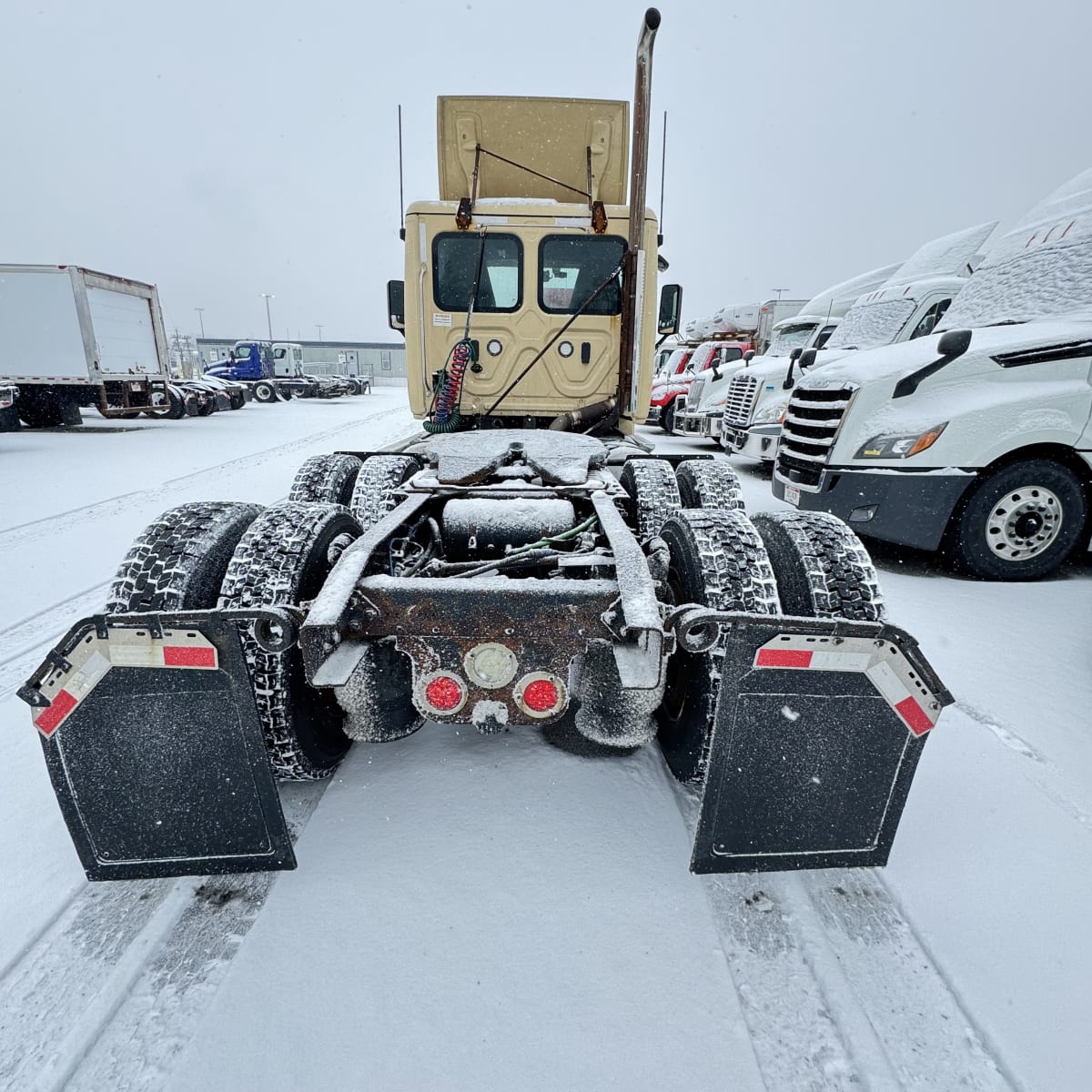 2019 Freightliner/Mercedes CASCADIA 125 808298