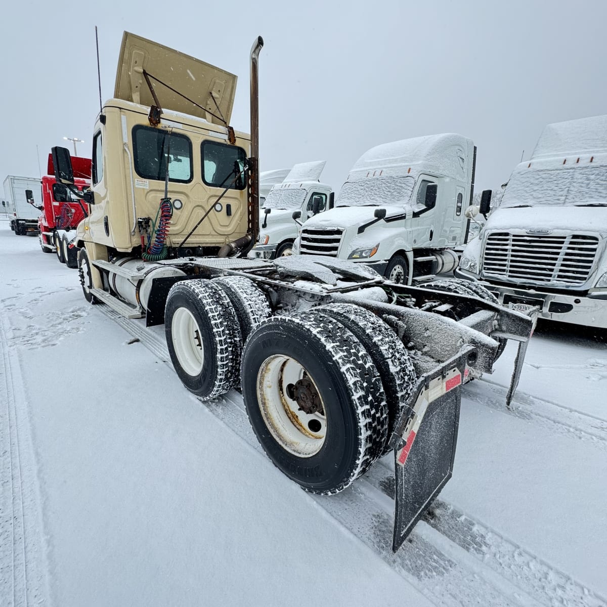 2019 Freightliner/Mercedes CASCADIA 125 808298