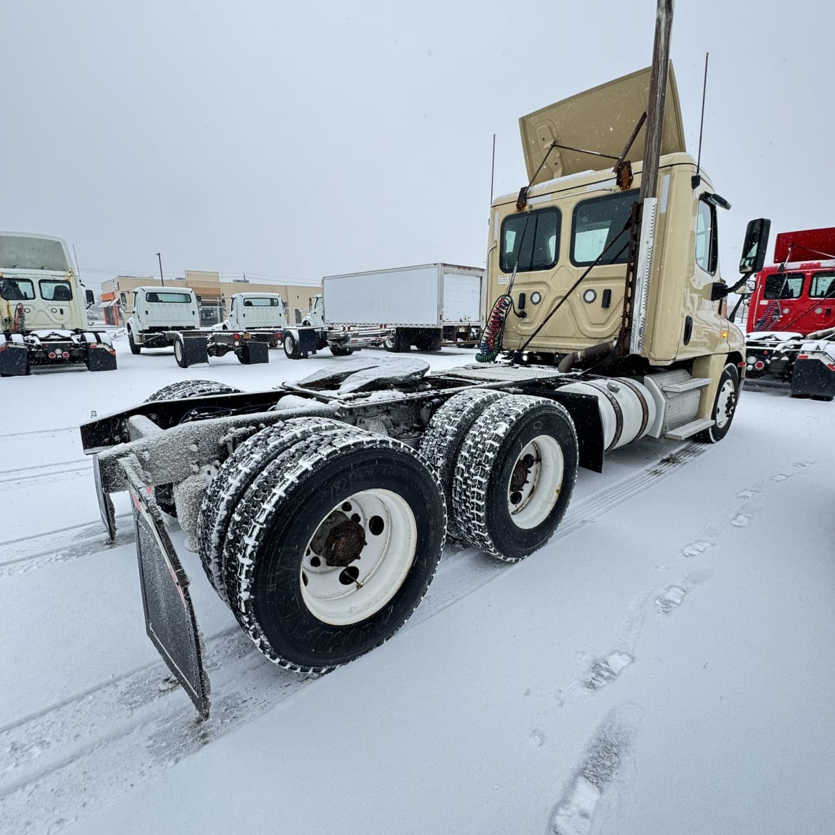 2019 Freightliner/Mercedes CASCADIA 125 808298