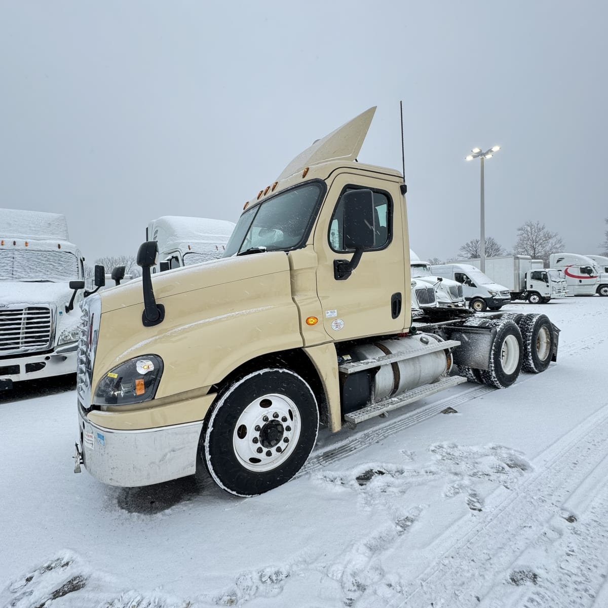 2019 Freightliner/Mercedes CASCADIA 125 808298