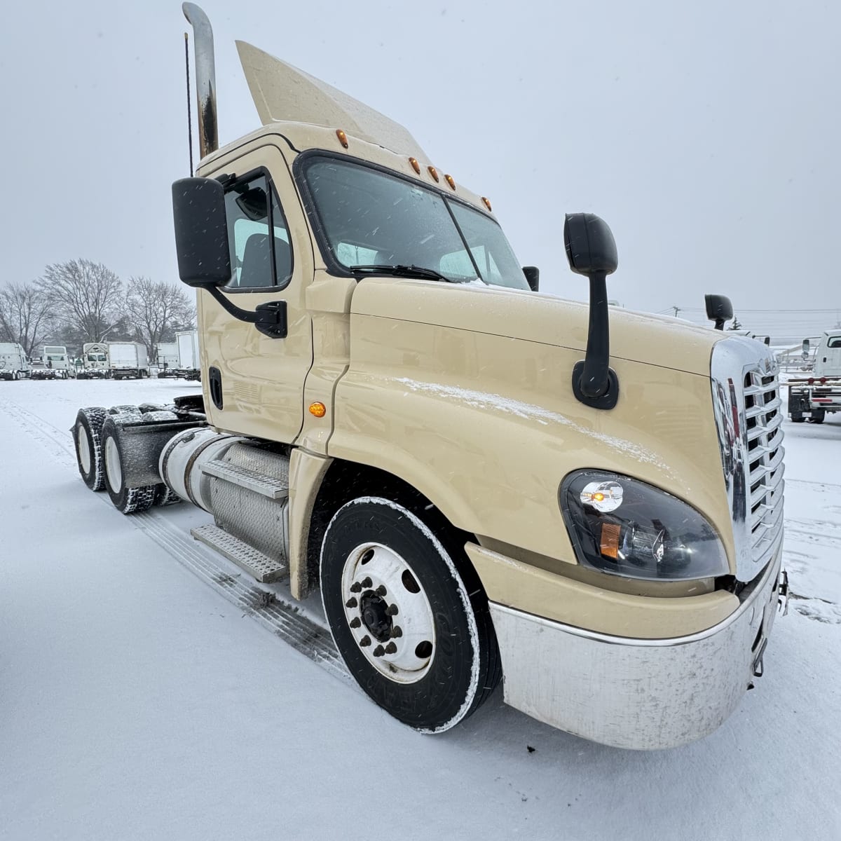 2019 Freightliner/Mercedes CASCADIA 125 808298