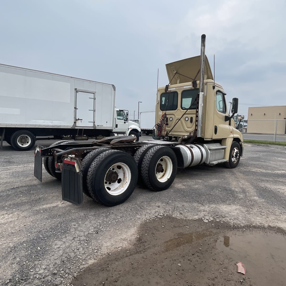 2019 Freightliner/Mercedes CASCADIA 125 808301