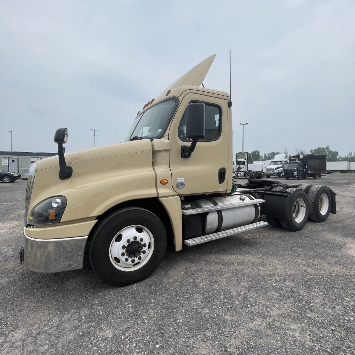 2019 Freightliner/Mercedes CASCADIA 125 808301